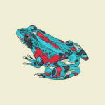 2024 Frog sticker